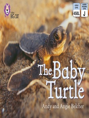 cover image of Collins Big Cat – the Baby Turtle